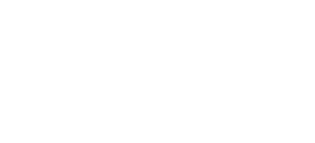SRP Digital Services